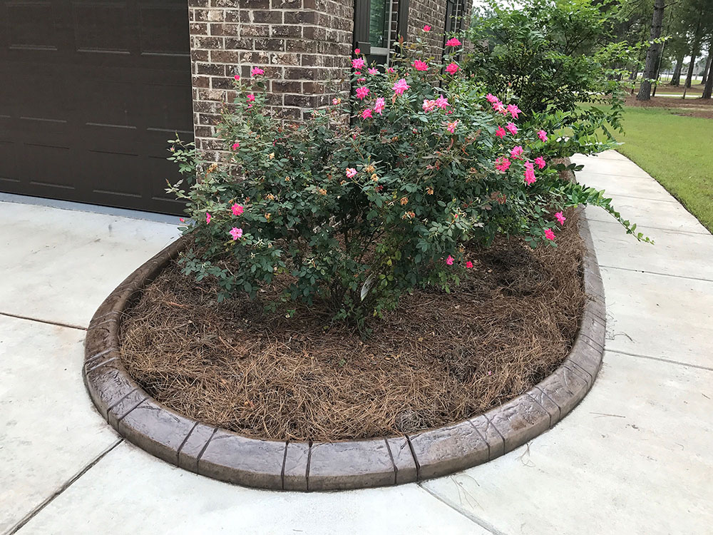 Concrete Edging | Lily’s Landscaping